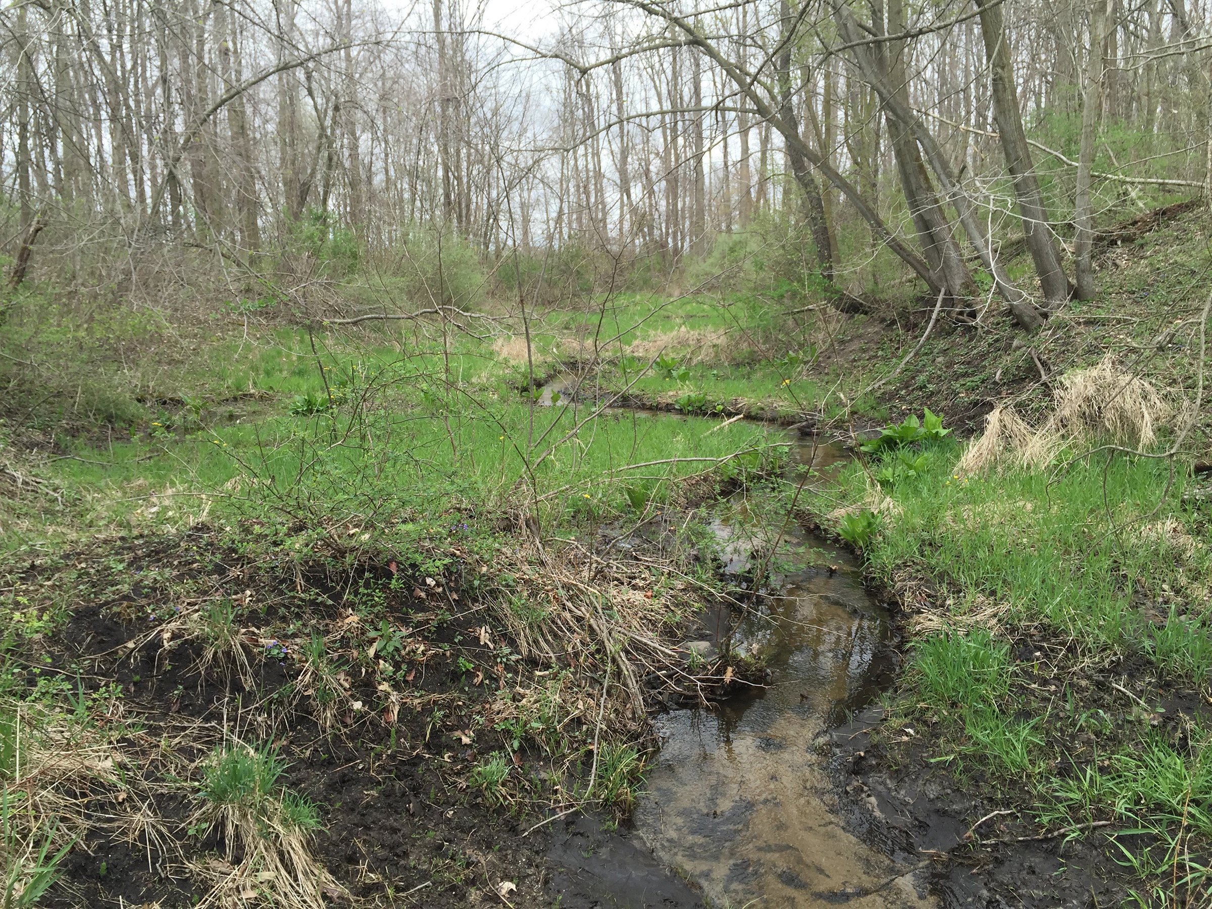 Property photo 64 - ONCE IN A LIFETIME OPPORTUNITY AUCTION - 183+/- ACRES IN 27 TRACTS IN BRANCH COUNTY, MICHIGAN
