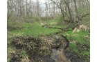 Property photo 64 - ONCE IN A LIFETIME OPPORTUNITY AUCTION - 183+/- ACRES IN 27 TRACTS IN BRANCH COUNTY, MICHIGAN