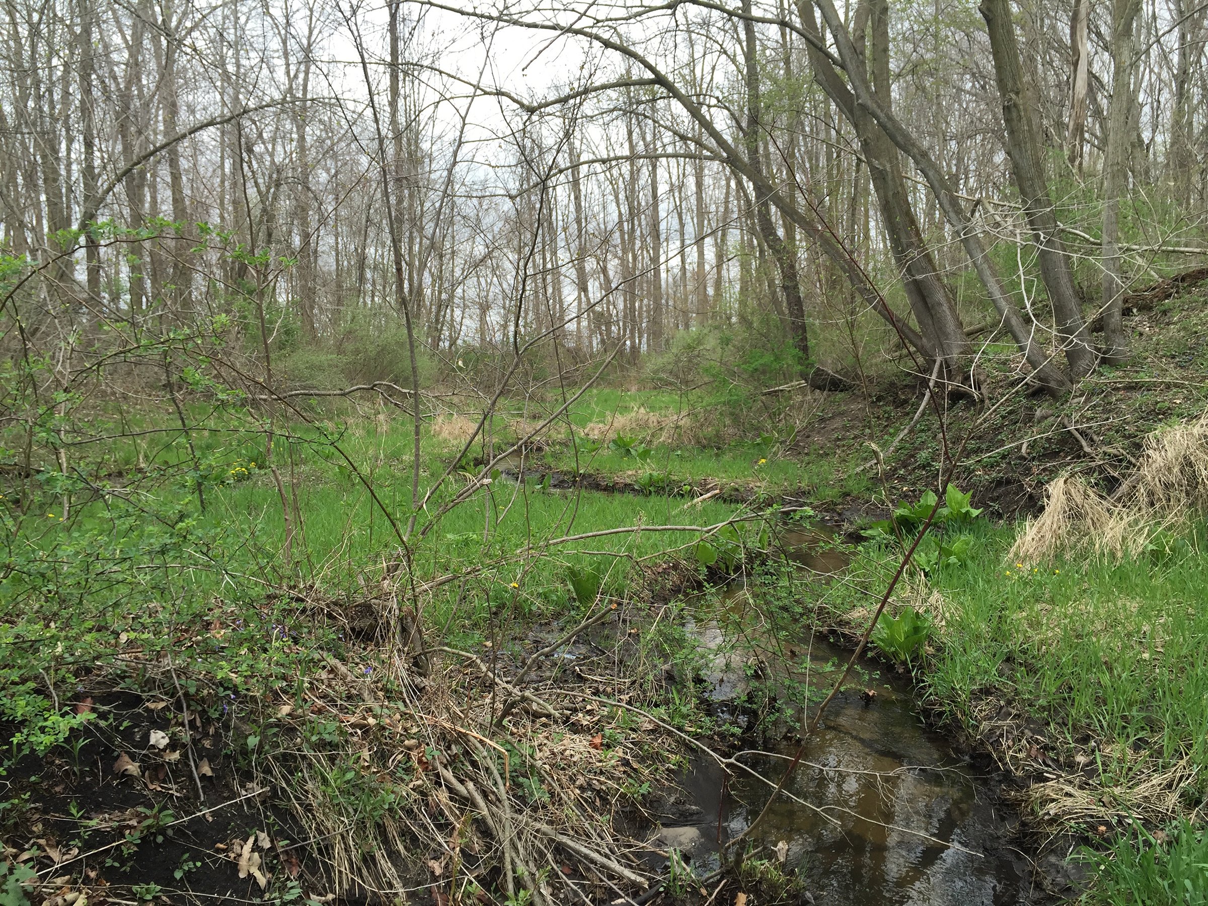 Property photo 80 - ONCE IN A LIFETIME OPPORTUNITY AUCTION - 183+/- ACRES IN 27 TRACTS IN BRANCH COUNTY, MICHIGAN