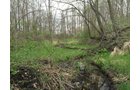 Property photo 80 - ONCE IN A LIFETIME OPPORTUNITY AUCTION - 183+/- ACRES IN 27 TRACTS IN BRANCH COUNTY, MICHIGAN