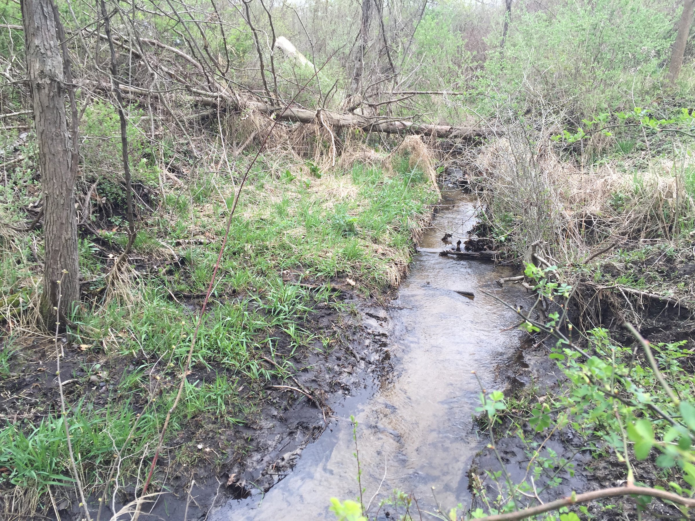 Property photo 54 - ONCE IN A LIFETIME OPPORTUNITY AUCTION - 183+/- ACRES IN 27 TRACTS IN BRANCH COUNTY, MICHIGAN