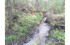 Property photo 54 - ONCE IN A LIFETIME OPPORTUNITY AUCTION - 183+/- ACRES IN 27 TRACTS IN BRANCH COUNTY, MICHIGAN