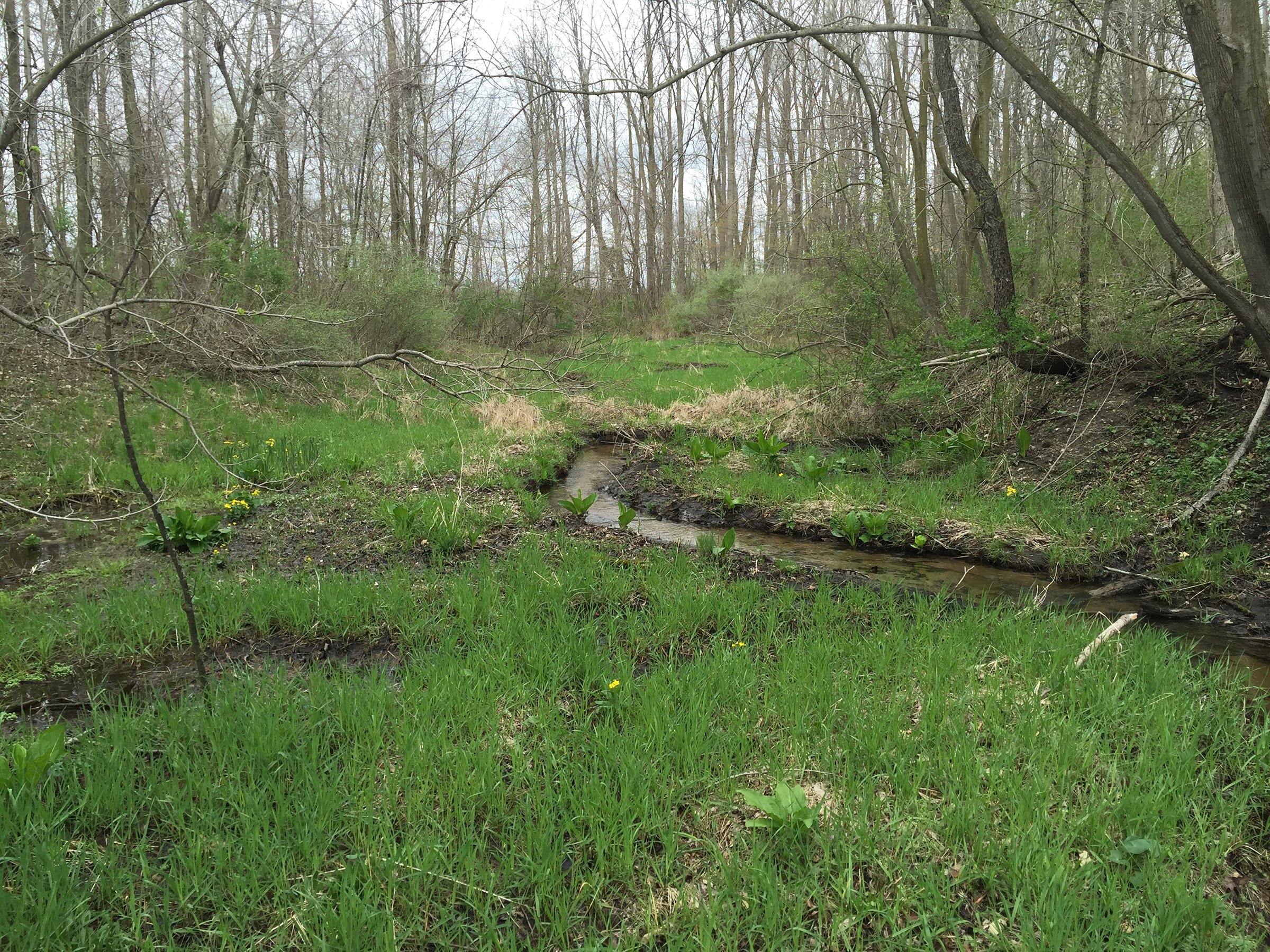 Property photo 81 - ONCE IN A LIFETIME OPPORTUNITY AUCTION - 183+/- ACRES IN 27 TRACTS IN BRANCH COUNTY, MICHIGAN