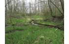 Property photo 81 - ONCE IN A LIFETIME OPPORTUNITY AUCTION - 183+/- ACRES IN 27 TRACTS IN BRANCH COUNTY, MICHIGAN