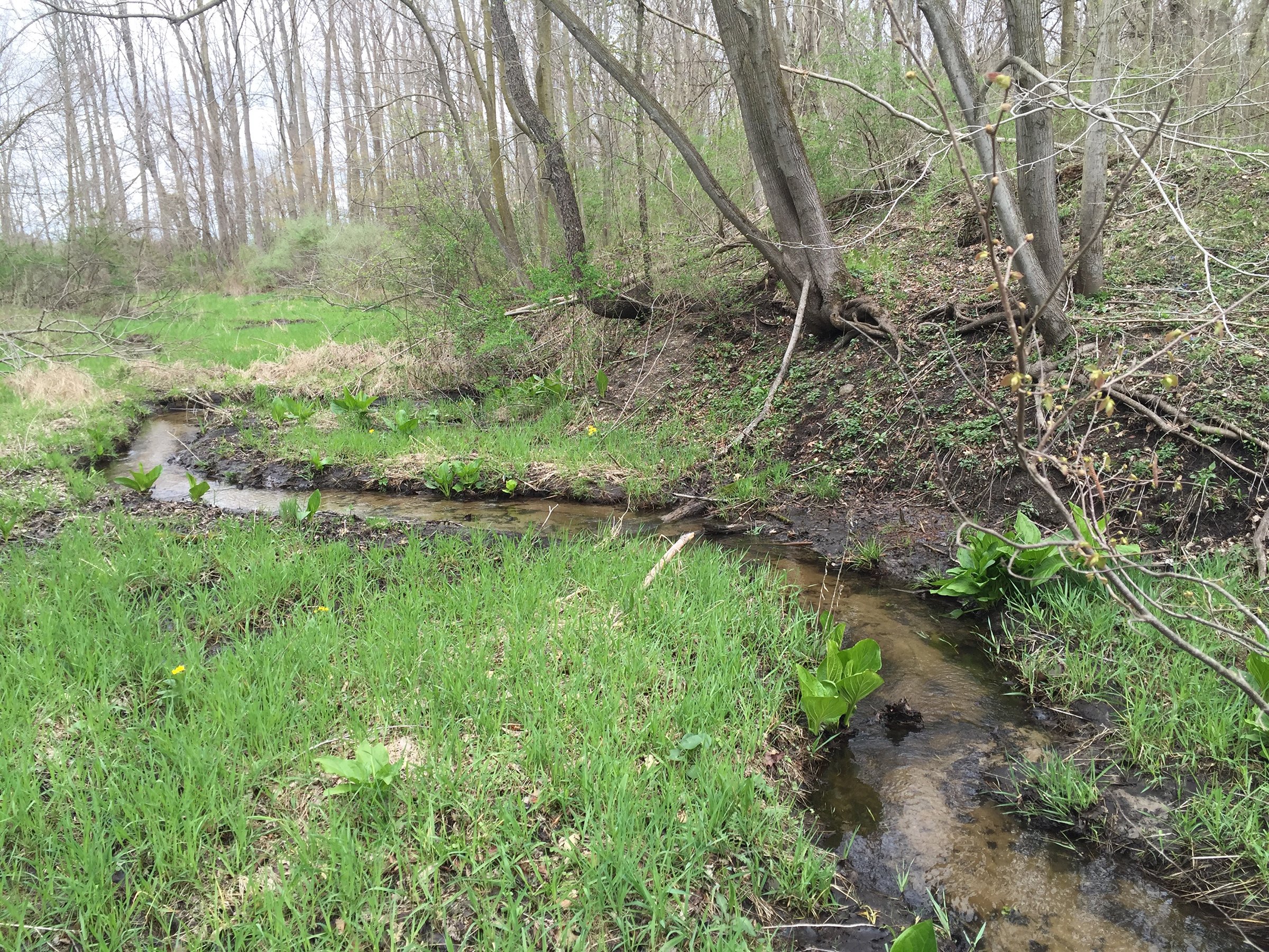 Property photo 73 - ONCE IN A LIFETIME OPPORTUNITY AUCTION - 183+/- ACRES IN 27 TRACTS IN BRANCH COUNTY, MICHIGAN