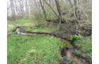 Property photo 73 - ONCE IN A LIFETIME OPPORTUNITY AUCTION - 183+/- ACRES IN 27 TRACTS IN BRANCH COUNTY, MICHIGAN