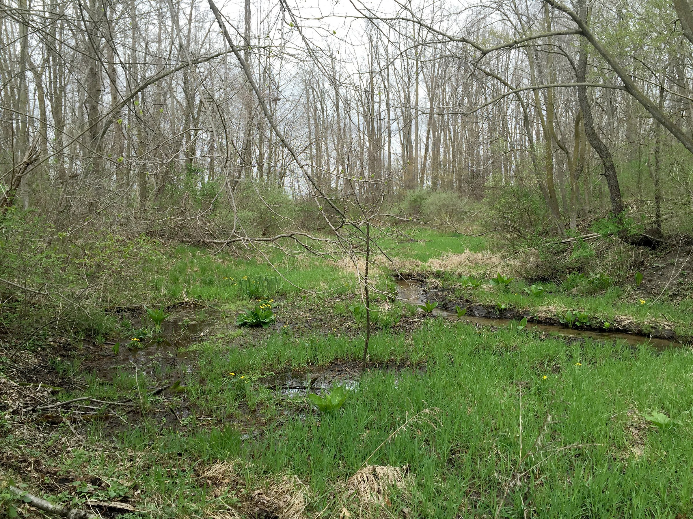 Property photo 60 - ONCE IN A LIFETIME OPPORTUNITY AUCTION - 183+/- ACRES IN 27 TRACTS IN BRANCH COUNTY, MICHIGAN