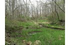 Property photo 60 - ONCE IN A LIFETIME OPPORTUNITY AUCTION - 183+/- ACRES IN 27 TRACTS IN BRANCH COUNTY, MICHIGAN