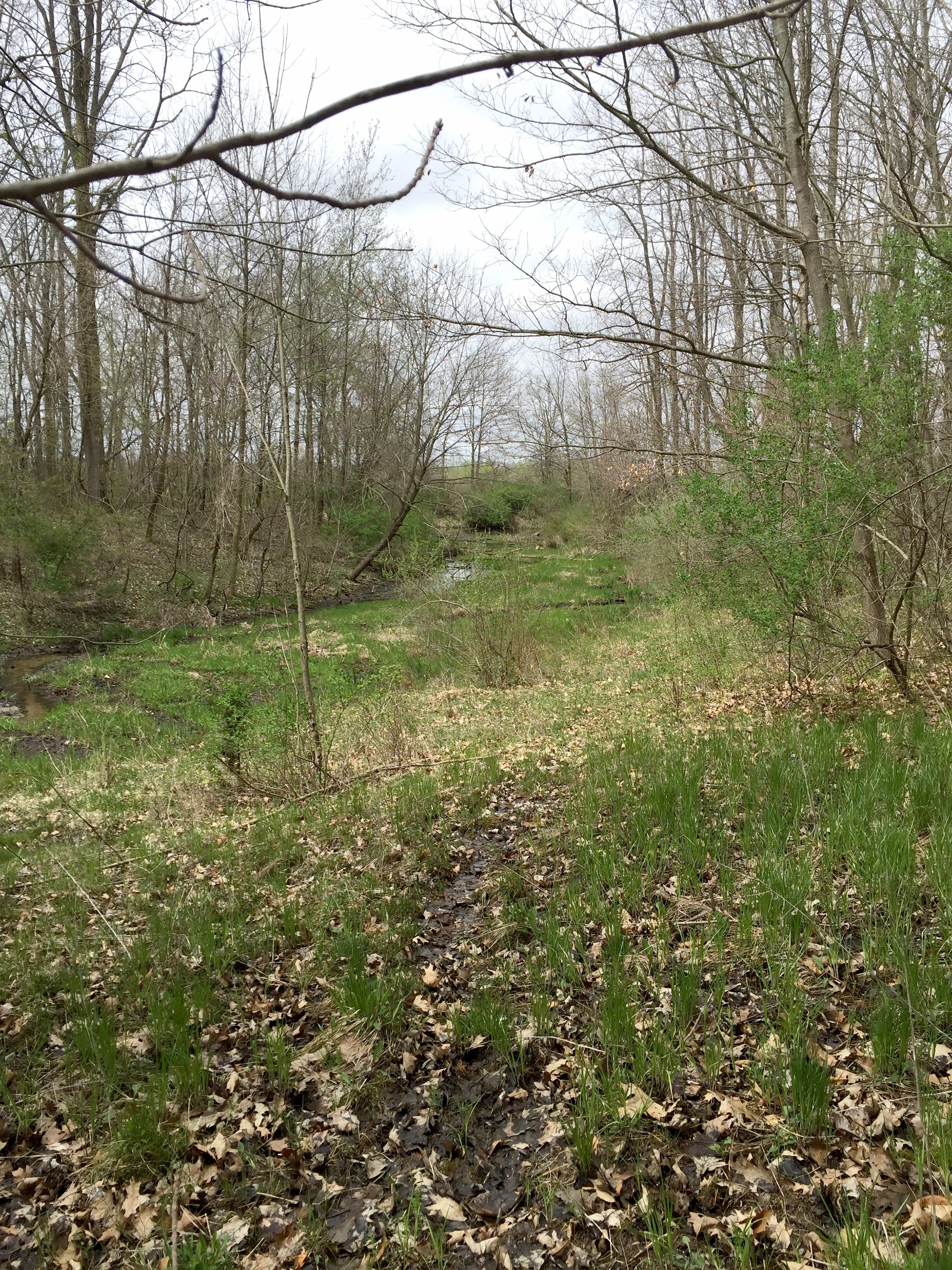 Property photo 79 - ONCE IN A LIFETIME OPPORTUNITY AUCTION - 183+/- ACRES IN 27 TRACTS IN BRANCH COUNTY, MICHIGAN