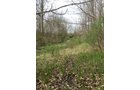 Property photo 79 - ONCE IN A LIFETIME OPPORTUNITY AUCTION - 183+/- ACRES IN 27 TRACTS IN BRANCH COUNTY, MICHIGAN