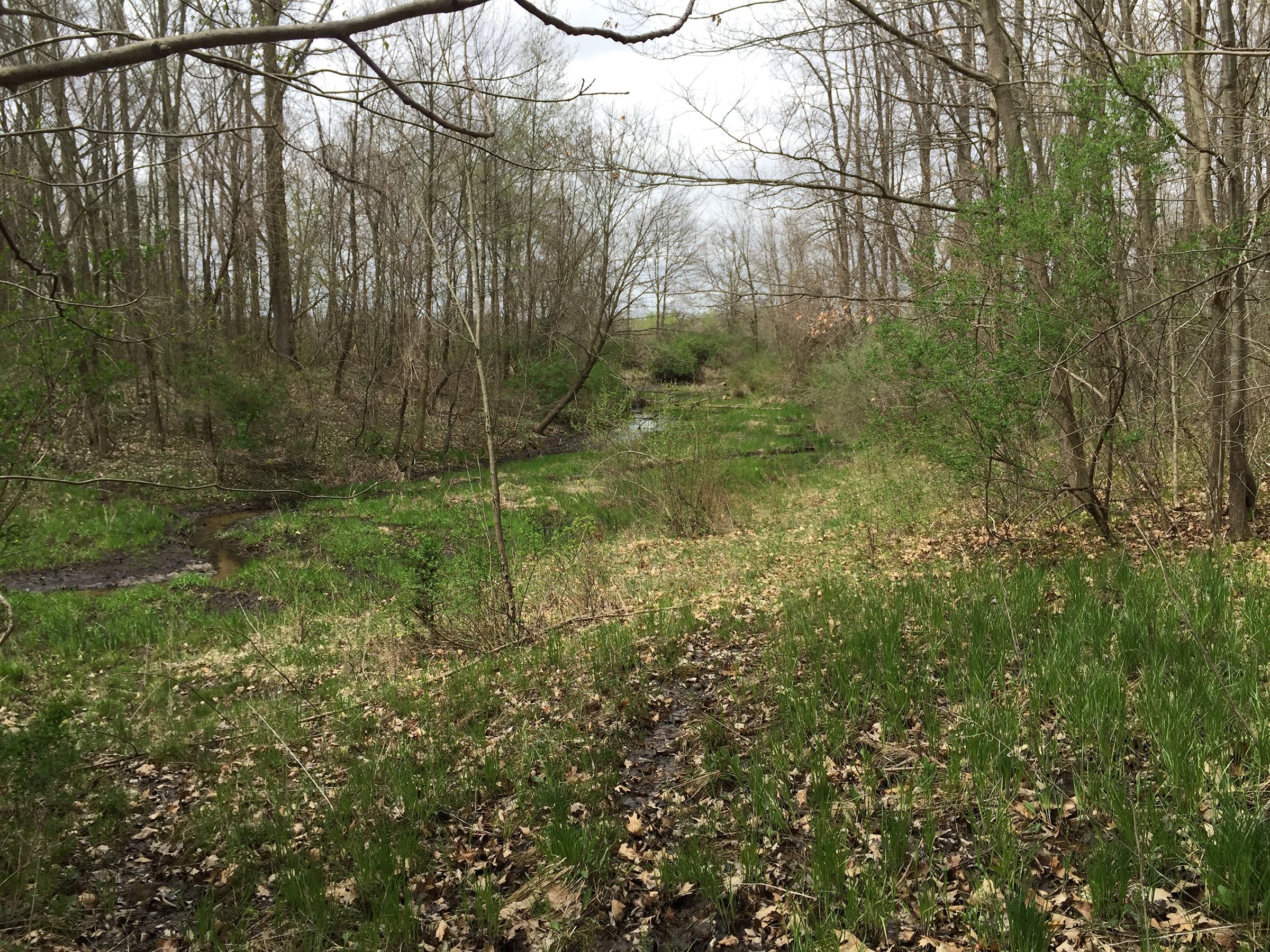 Property photo 92 - ONCE IN A LIFETIME OPPORTUNITY AUCTION - 183+/- ACRES IN 27 TRACTS IN BRANCH COUNTY, MICHIGAN