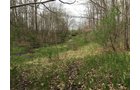 Property photo 92 - ONCE IN A LIFETIME OPPORTUNITY AUCTION - 183+/- ACRES IN 27 TRACTS IN BRANCH COUNTY, MICHIGAN