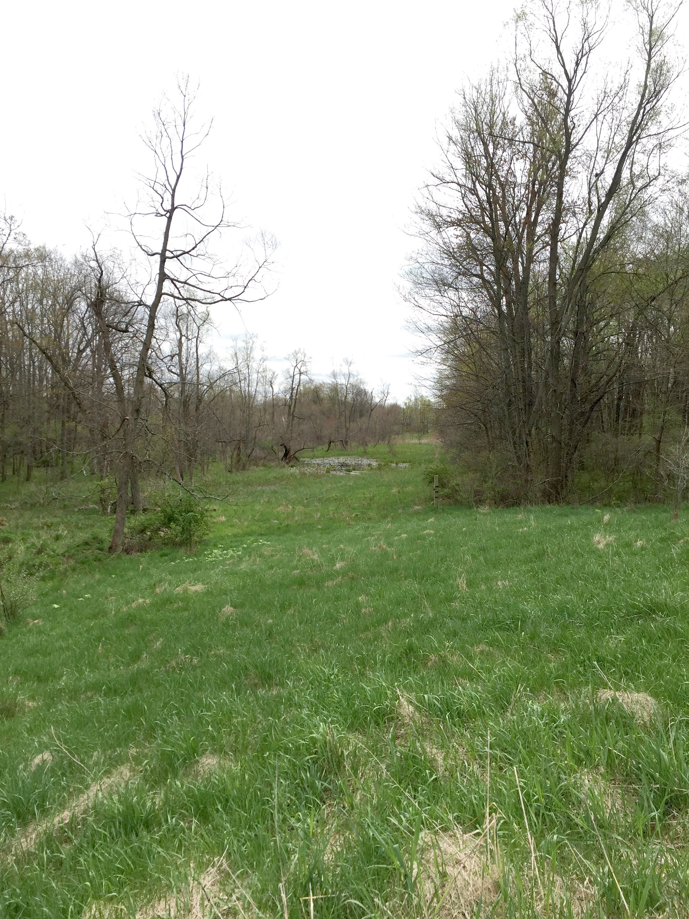 Property photo 77 - ONCE IN A LIFETIME OPPORTUNITY AUCTION - 183+/- ACRES IN 27 TRACTS IN BRANCH COUNTY, MICHIGAN