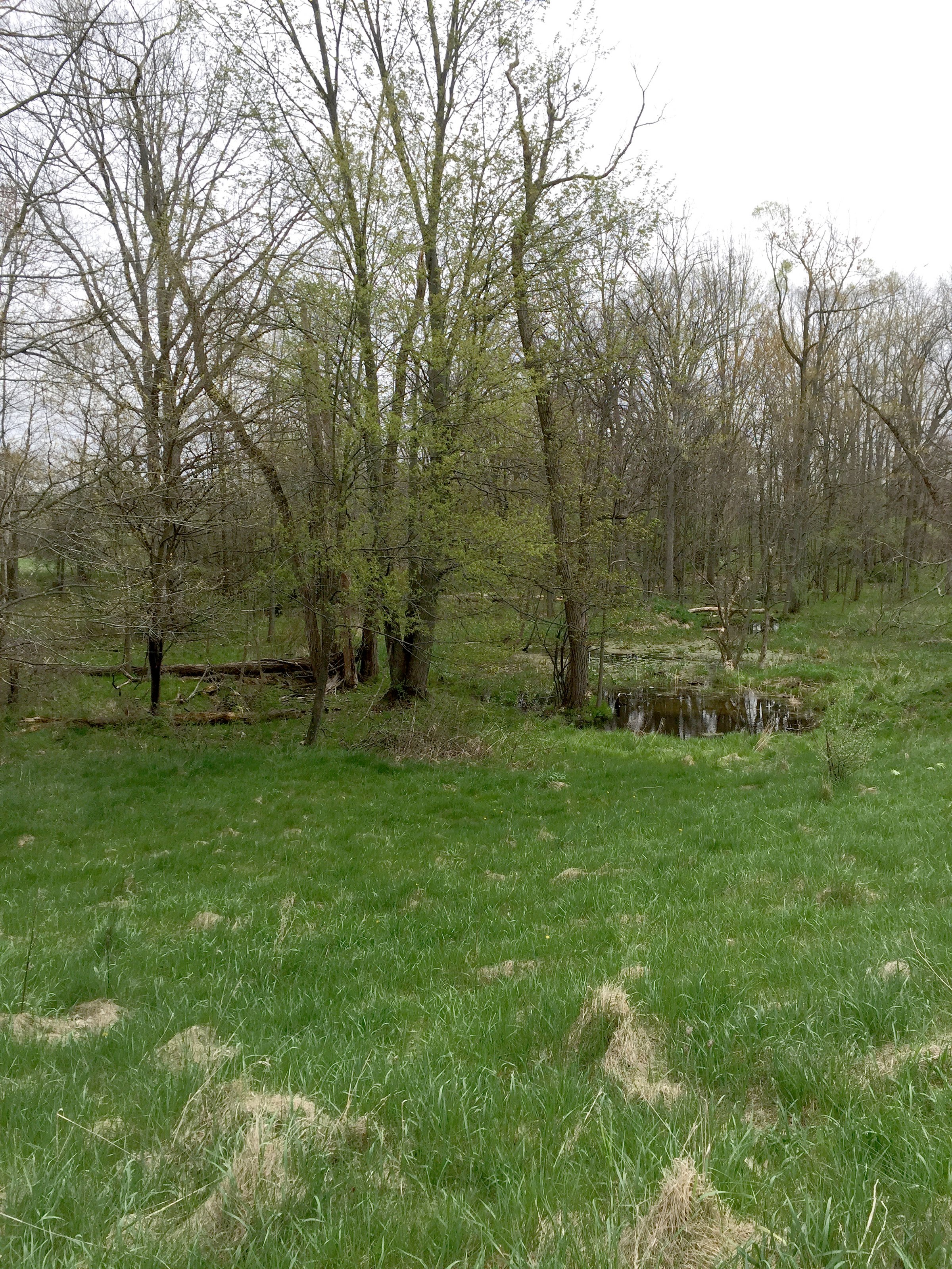 Property photo 63 - ONCE IN A LIFETIME OPPORTUNITY AUCTION - 183+/- ACRES IN 27 TRACTS IN BRANCH COUNTY, MICHIGAN