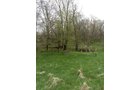 Property photo 63 - ONCE IN A LIFETIME OPPORTUNITY AUCTION - 183+/- ACRES IN 27 TRACTS IN BRANCH COUNTY, MICHIGAN