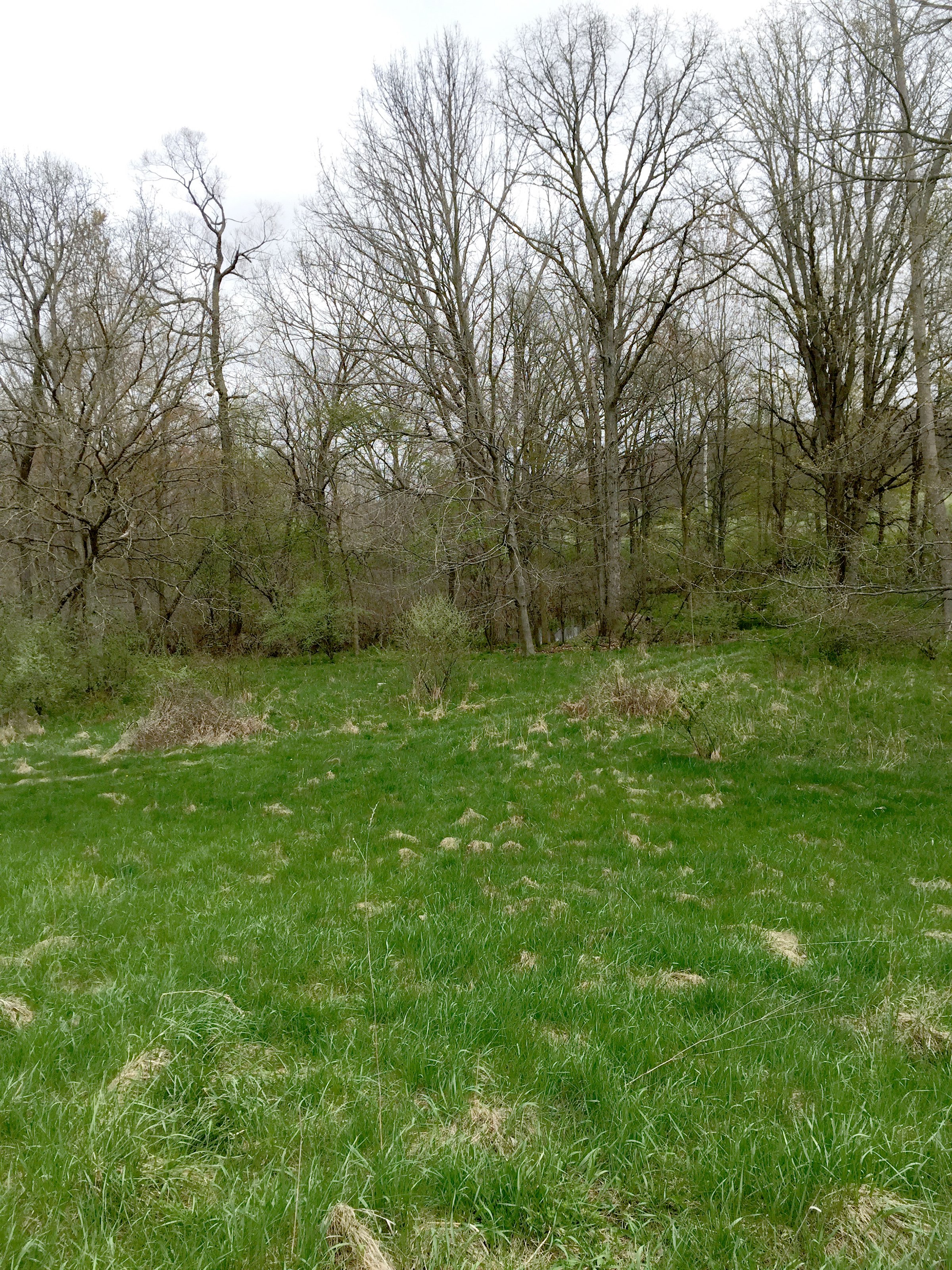 Property photo 71 - ONCE IN A LIFETIME OPPORTUNITY AUCTION - 183+/- ACRES IN 27 TRACTS IN BRANCH COUNTY, MICHIGAN