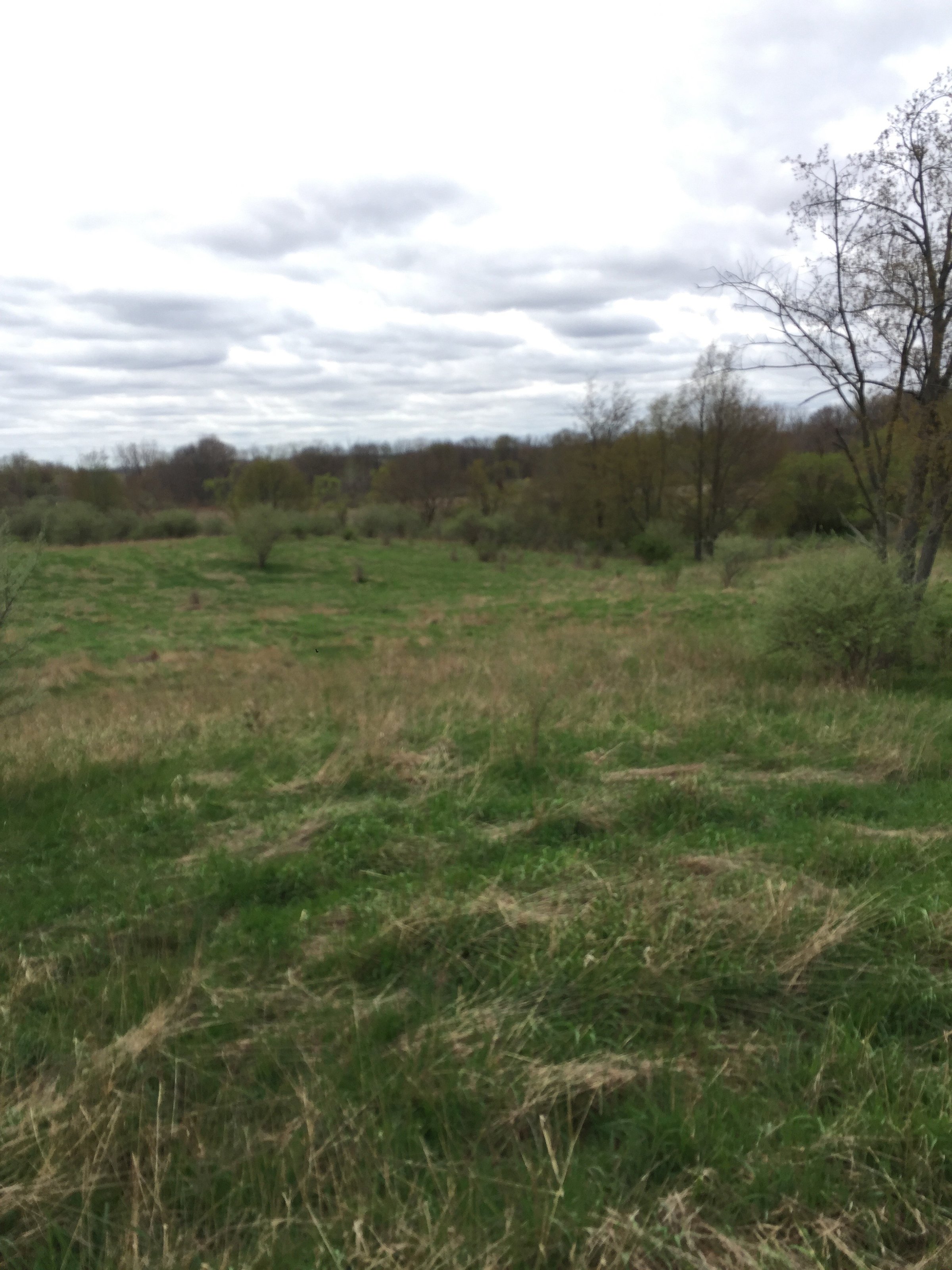 Property photo 66 - ONCE IN A LIFETIME OPPORTUNITY AUCTION - 183+/- ACRES IN 27 TRACTS IN BRANCH COUNTY, MICHIGAN