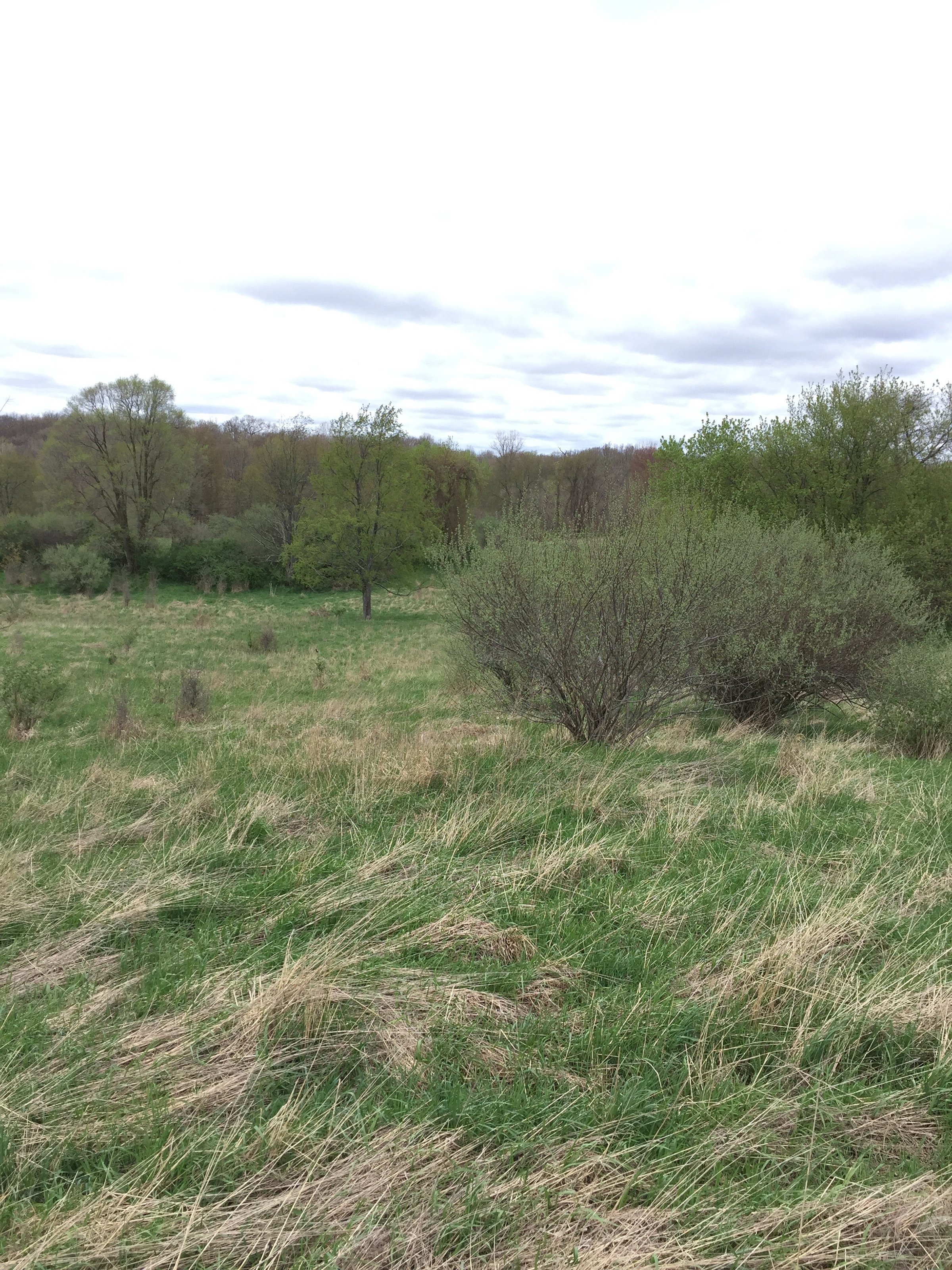Property photo 75 - ONCE IN A LIFETIME OPPORTUNITY AUCTION - 183+/- ACRES IN 27 TRACTS IN BRANCH COUNTY, MICHIGAN