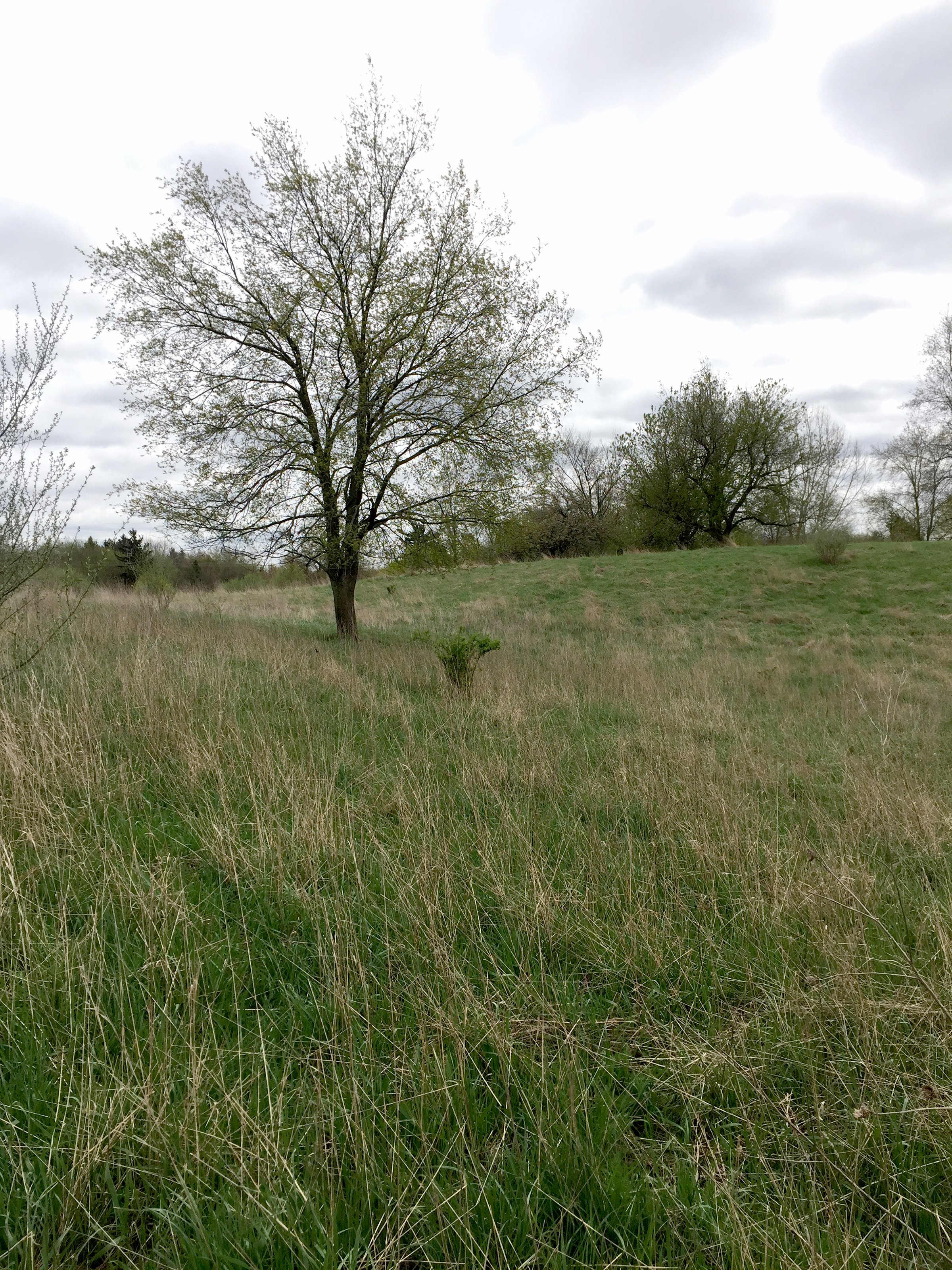 Property photo 57 - ONCE IN A LIFETIME OPPORTUNITY AUCTION - 183+/- ACRES IN 27 TRACTS IN BRANCH COUNTY, MICHIGAN