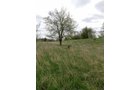 Property photo 57 - ONCE IN A LIFETIME OPPORTUNITY AUCTION - 183+/- ACRES IN 27 TRACTS IN BRANCH COUNTY, MICHIGAN