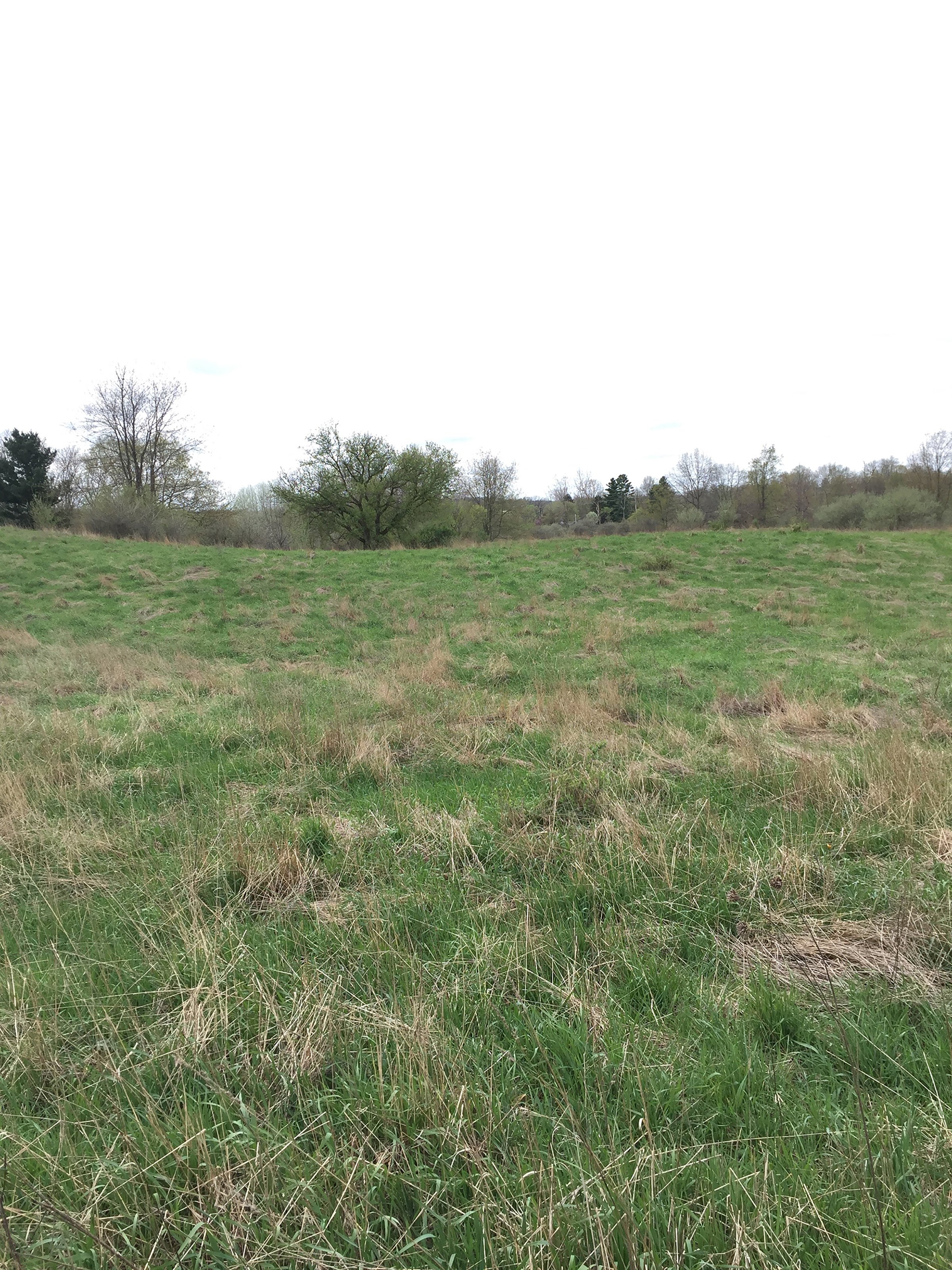 Property photo 74 - ONCE IN A LIFETIME OPPORTUNITY AUCTION - 183+/- ACRES IN 27 TRACTS IN BRANCH COUNTY, MICHIGAN