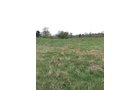 Property photo 74 - ONCE IN A LIFETIME OPPORTUNITY AUCTION - 183+/- ACRES IN 27 TRACTS IN BRANCH COUNTY, MICHIGAN