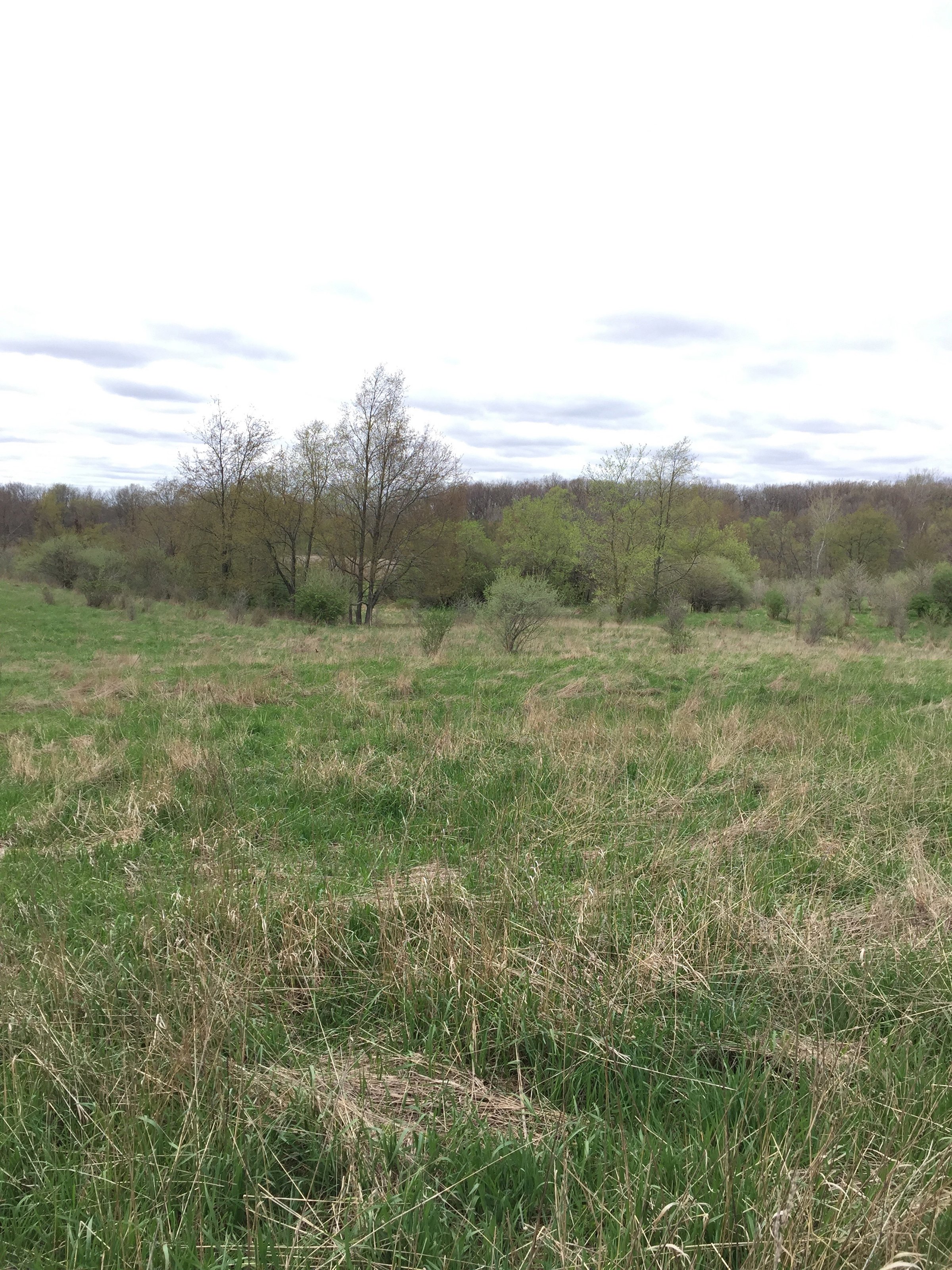 Property photo 53 - ONCE IN A LIFETIME OPPORTUNITY AUCTION - 183+/- ACRES IN 27 TRACTS IN BRANCH COUNTY, MICHIGAN