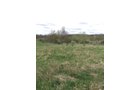 Property photo 53 - ONCE IN A LIFETIME OPPORTUNITY AUCTION - 183+/- ACRES IN 27 TRACTS IN BRANCH COUNTY, MICHIGAN
