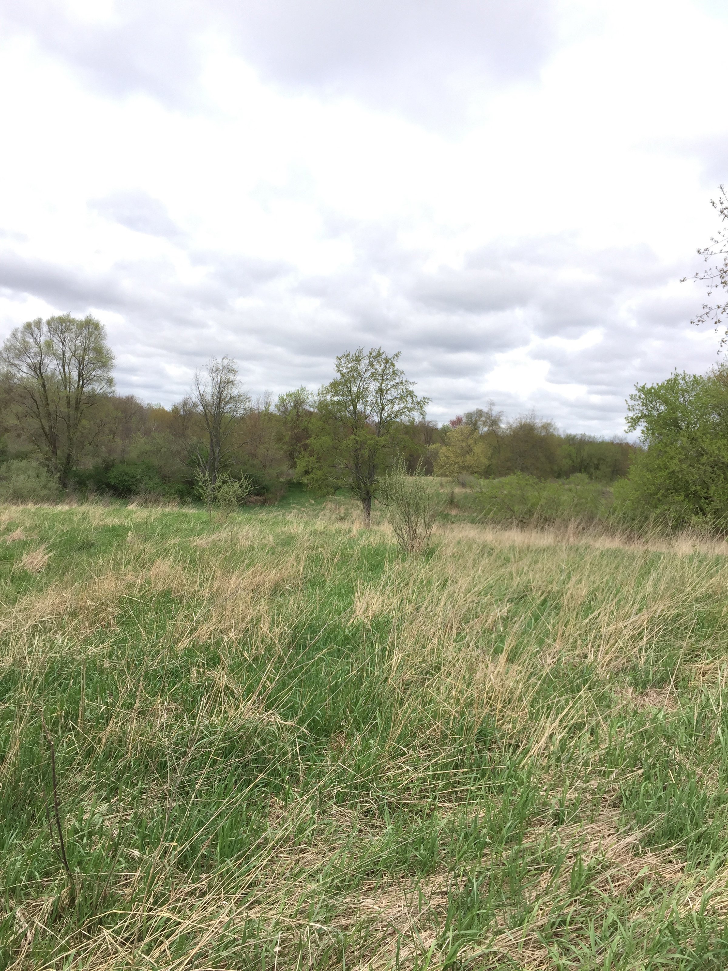 Property photo 78 - ONCE IN A LIFETIME OPPORTUNITY AUCTION - 183+/- ACRES IN 27 TRACTS IN BRANCH COUNTY, MICHIGAN
