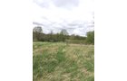 Property photo 78 - ONCE IN A LIFETIME OPPORTUNITY AUCTION - 183+/- ACRES IN 27 TRACTS IN BRANCH COUNTY, MICHIGAN