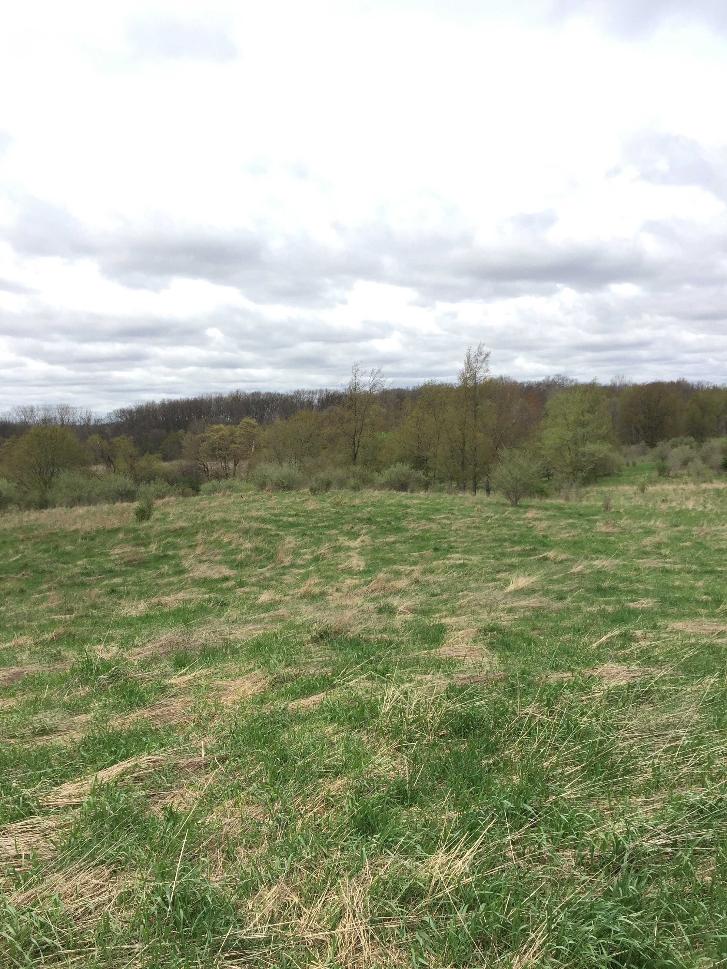Property photo 90 - ONCE IN A LIFETIME OPPORTUNITY AUCTION - 183+/- ACRES IN 27 TRACTS IN BRANCH COUNTY, MICHIGAN