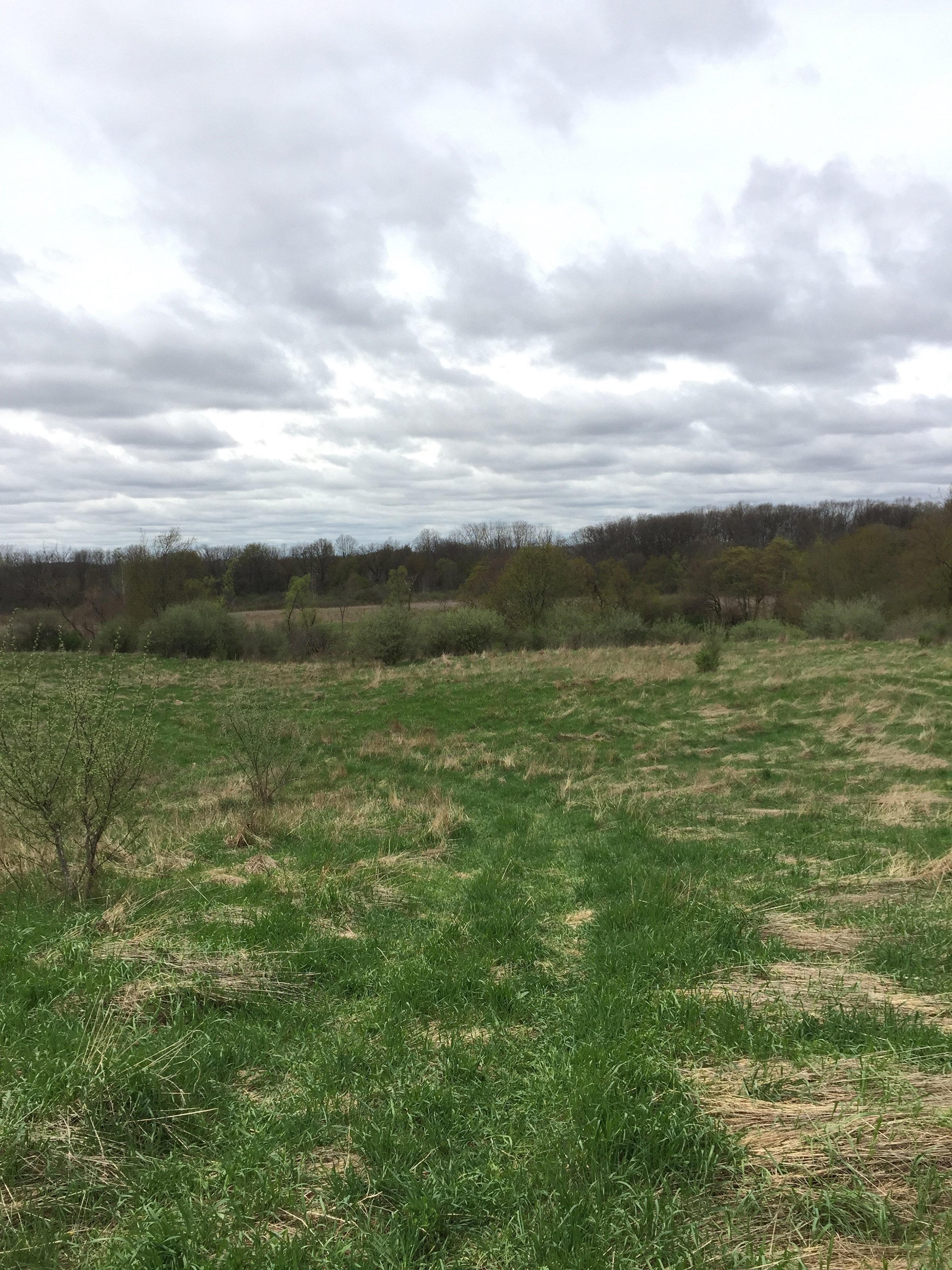 Property photo 59 - ONCE IN A LIFETIME OPPORTUNITY AUCTION - 183+/- ACRES IN 27 TRACTS IN BRANCH COUNTY, MICHIGAN