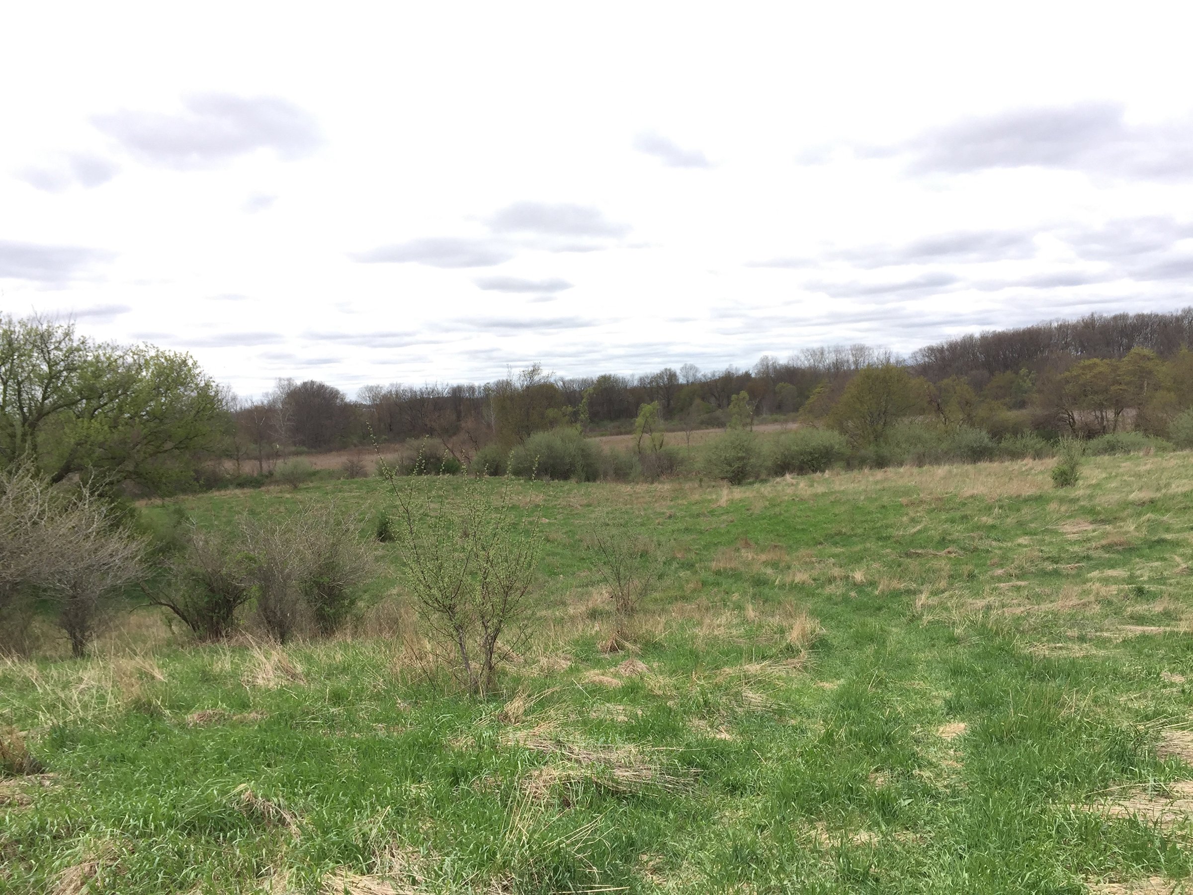 Property photo 95 - ONCE IN A LIFETIME OPPORTUNITY AUCTION - 183+/- ACRES IN 27 TRACTS IN BRANCH COUNTY, MICHIGAN