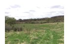 Property photo 95 - ONCE IN A LIFETIME OPPORTUNITY AUCTION - 183+/- ACRES IN 27 TRACTS IN BRANCH COUNTY, MICHIGAN