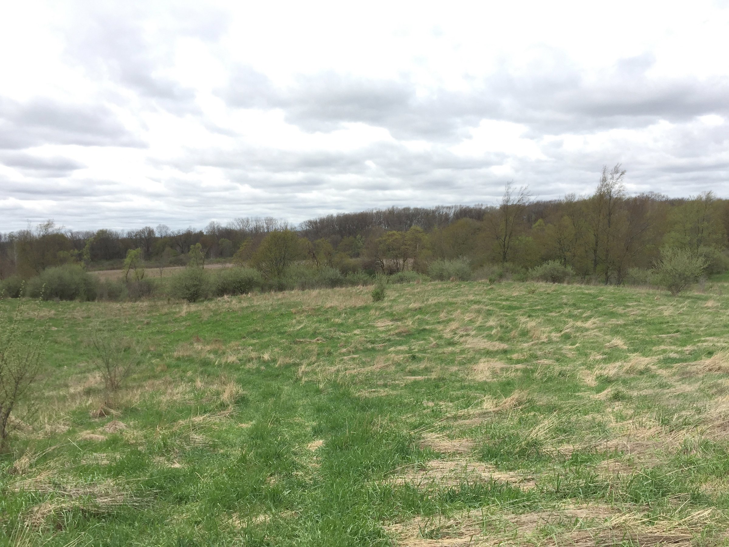 Property photo 89 - ONCE IN A LIFETIME OPPORTUNITY AUCTION - 183+/- ACRES IN 27 TRACTS IN BRANCH COUNTY, MICHIGAN