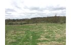 Property photo 89 - ONCE IN A LIFETIME OPPORTUNITY AUCTION - 183+/- ACRES IN 27 TRACTS IN BRANCH COUNTY, MICHIGAN