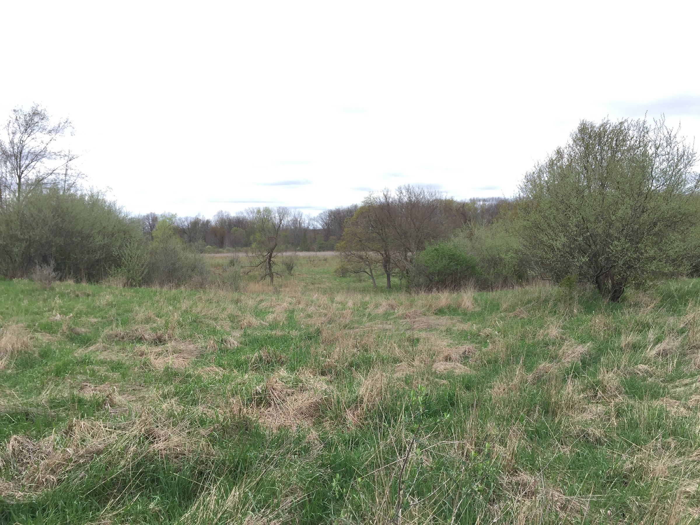 Property photo 62 - ONCE IN A LIFETIME OPPORTUNITY AUCTION - 183+/- ACRES IN 27 TRACTS IN BRANCH COUNTY, MICHIGAN