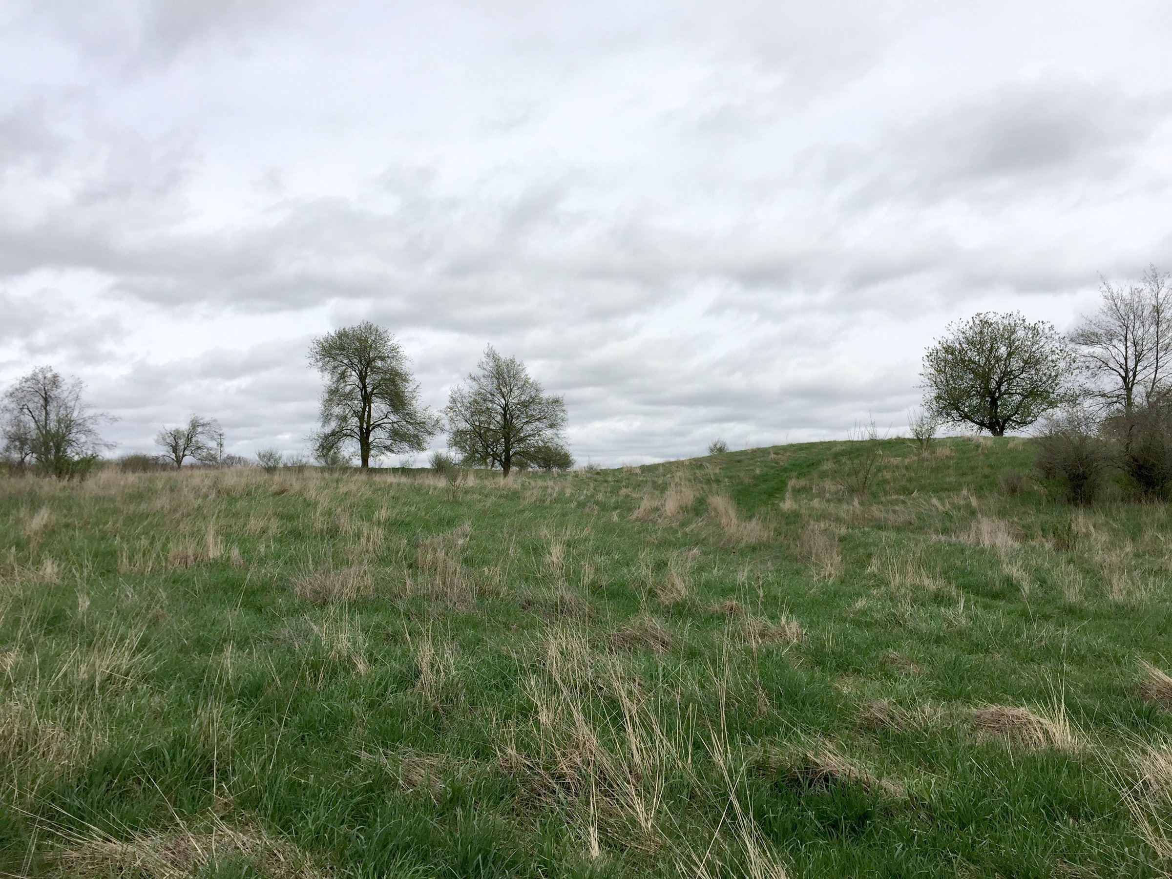 Property photo 86 - ONCE IN A LIFETIME OPPORTUNITY AUCTION - 183+/- ACRES IN 27 TRACTS IN BRANCH COUNTY, MICHIGAN