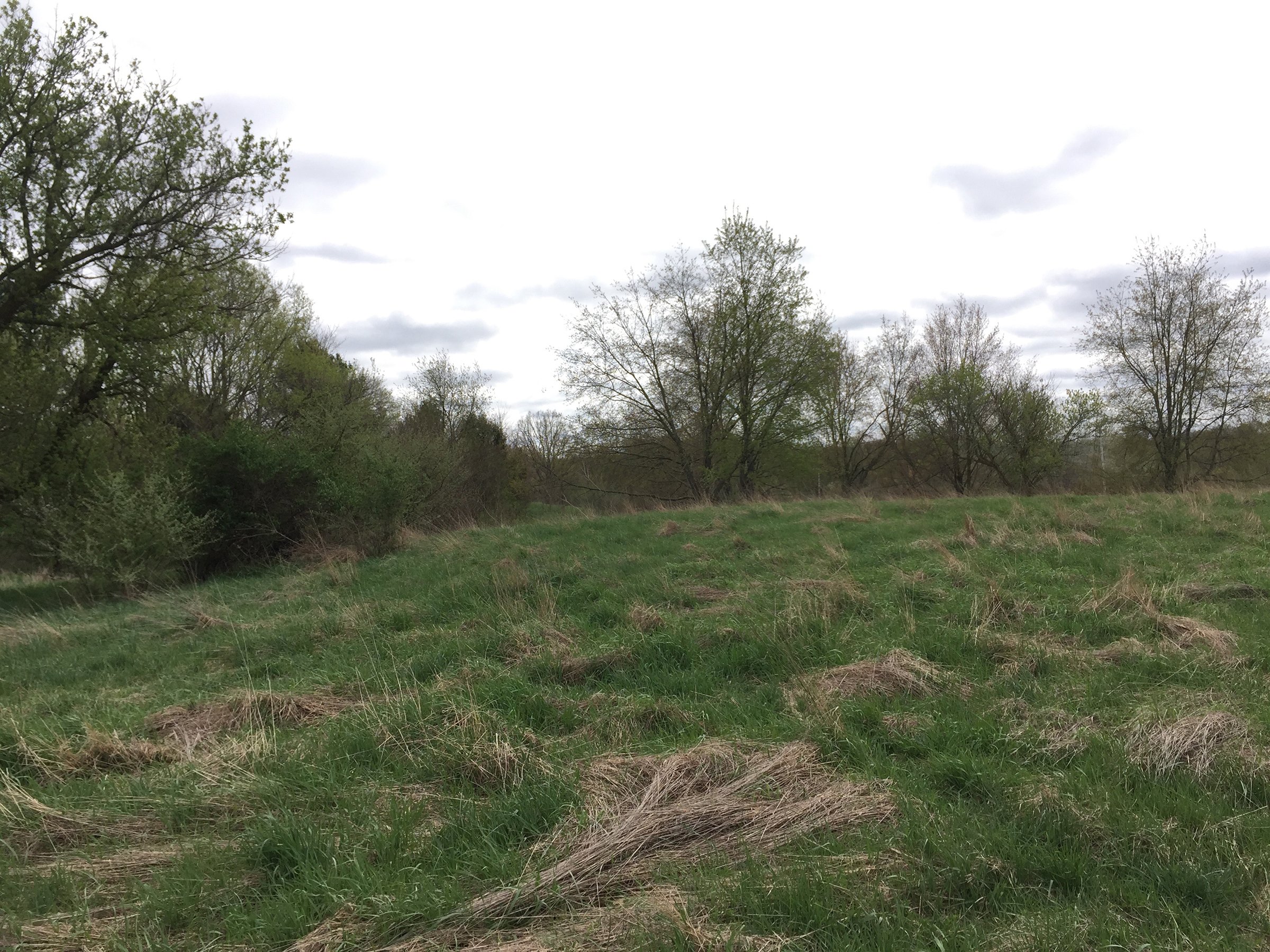 Property photo 85 - ONCE IN A LIFETIME OPPORTUNITY AUCTION - 183+/- ACRES IN 27 TRACTS IN BRANCH COUNTY, MICHIGAN