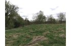 Property photo 85 - ONCE IN A LIFETIME OPPORTUNITY AUCTION - 183+/- ACRES IN 27 TRACTS IN BRANCH COUNTY, MICHIGAN