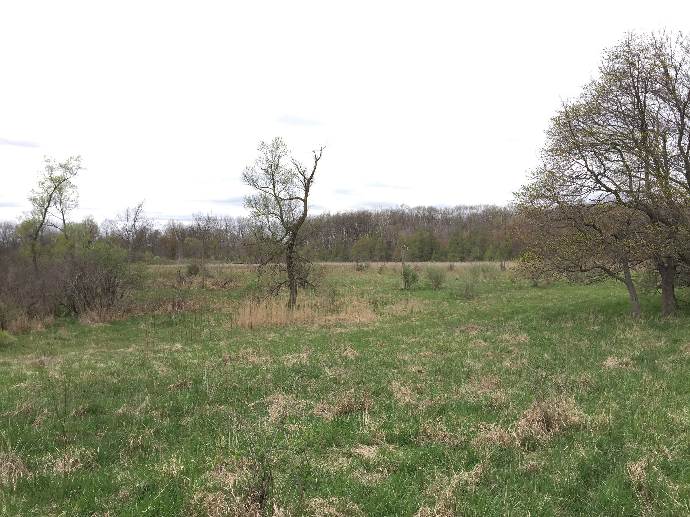 Property photo 58 - ONCE IN A LIFETIME OPPORTUNITY AUCTION - 183+/- ACRES IN 27 TRACTS IN BRANCH COUNTY, MICHIGAN