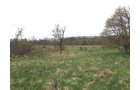 Property photo 58 - ONCE IN A LIFETIME OPPORTUNITY AUCTION - 183+/- ACRES IN 27 TRACTS IN BRANCH COUNTY, MICHIGAN
