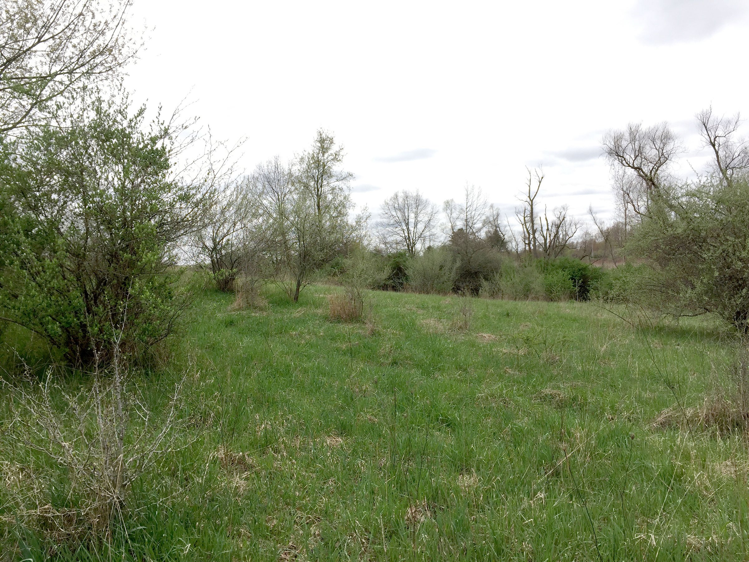 Property photo 68 - ONCE IN A LIFETIME OPPORTUNITY AUCTION - 183+/- ACRES IN 27 TRACTS IN BRANCH COUNTY, MICHIGAN