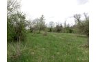 Property photo 68 - ONCE IN A LIFETIME OPPORTUNITY AUCTION - 183+/- ACRES IN 27 TRACTS IN BRANCH COUNTY, MICHIGAN