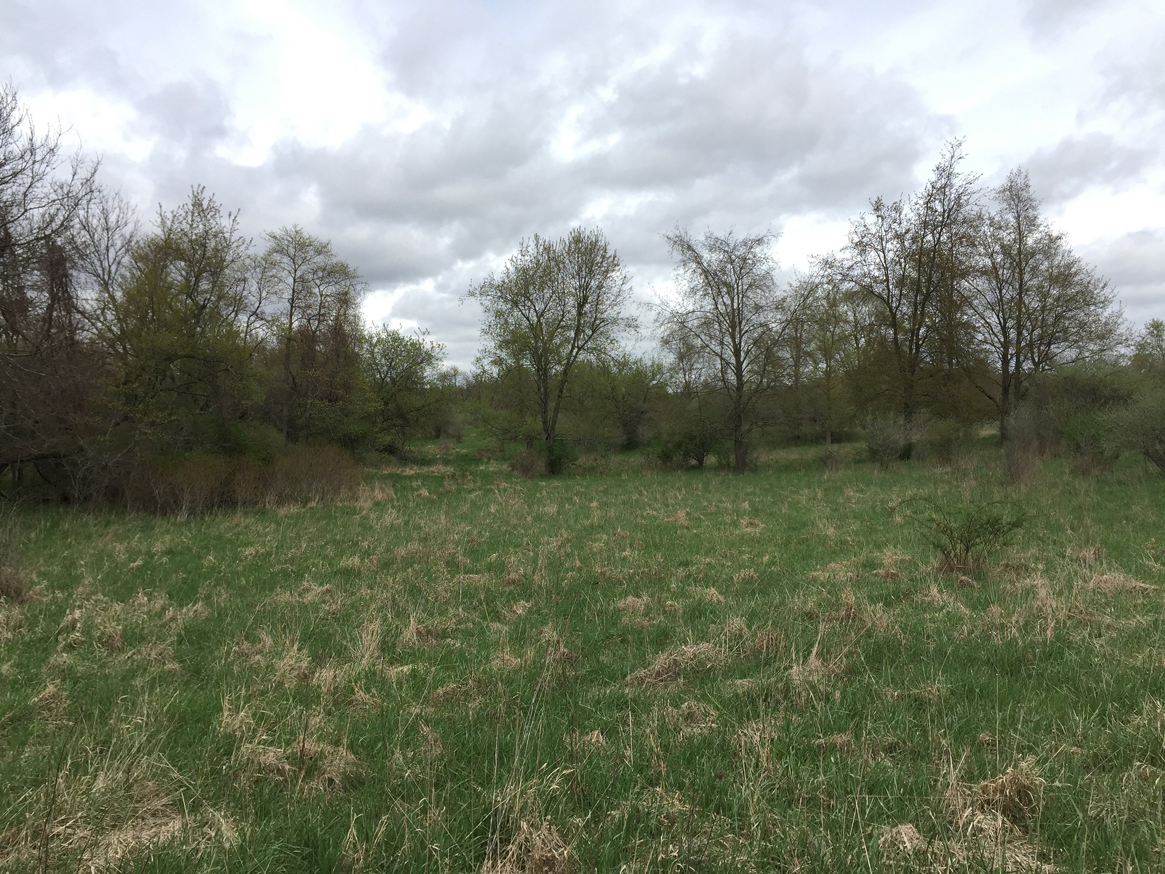 Property photo 88 - ONCE IN A LIFETIME OPPORTUNITY AUCTION - 183+/- ACRES IN 27 TRACTS IN BRANCH COUNTY, MICHIGAN