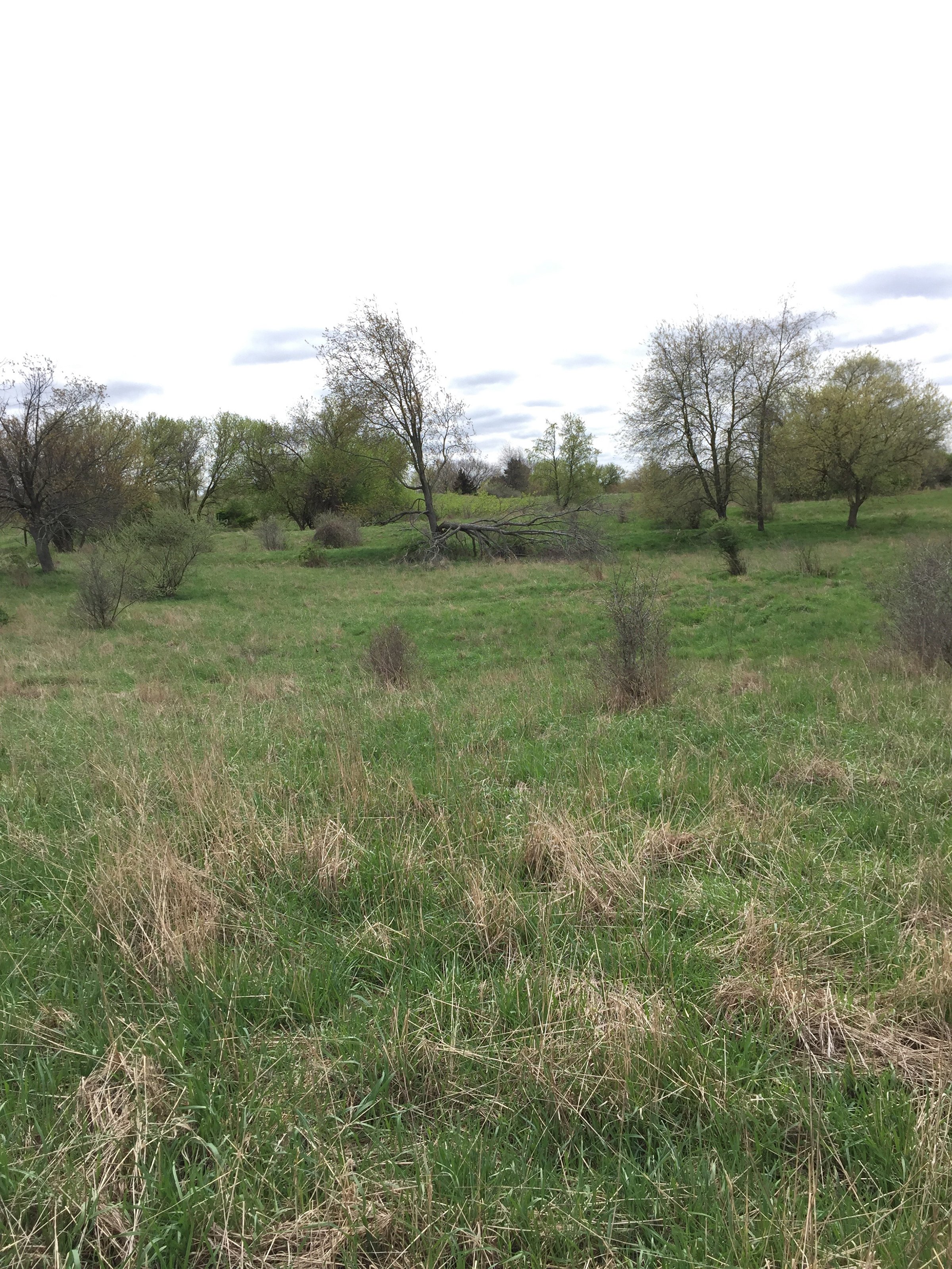 Property photo 70 - ONCE IN A LIFETIME OPPORTUNITY AUCTION - 183+/- ACRES IN 27 TRACTS IN BRANCH COUNTY, MICHIGAN