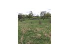 Property photo 70 - ONCE IN A LIFETIME OPPORTUNITY AUCTION - 183+/- ACRES IN 27 TRACTS IN BRANCH COUNTY, MICHIGAN