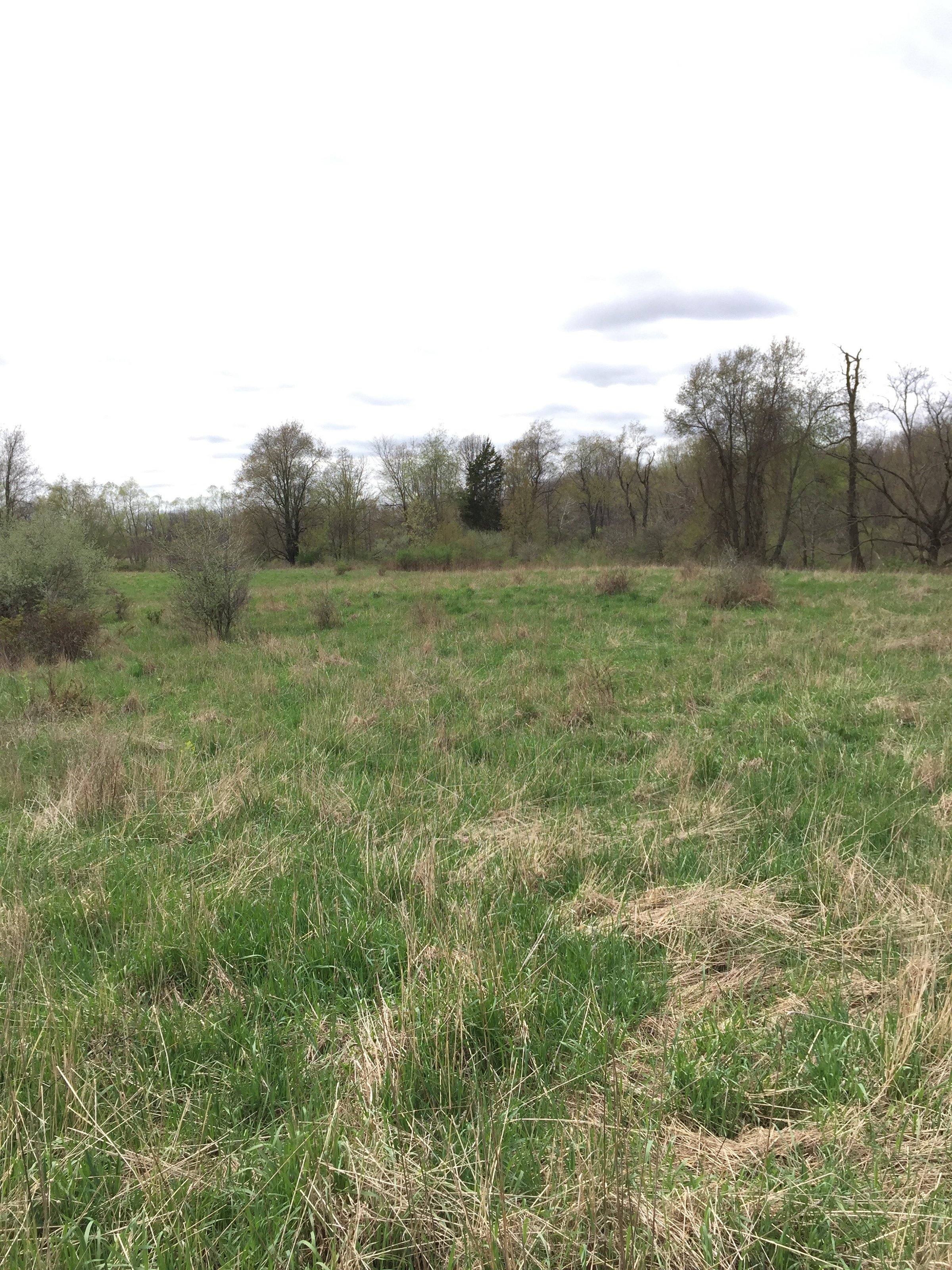Property photo 61 - ONCE IN A LIFETIME OPPORTUNITY AUCTION - 183+/- ACRES IN 27 TRACTS IN BRANCH COUNTY, MICHIGAN
