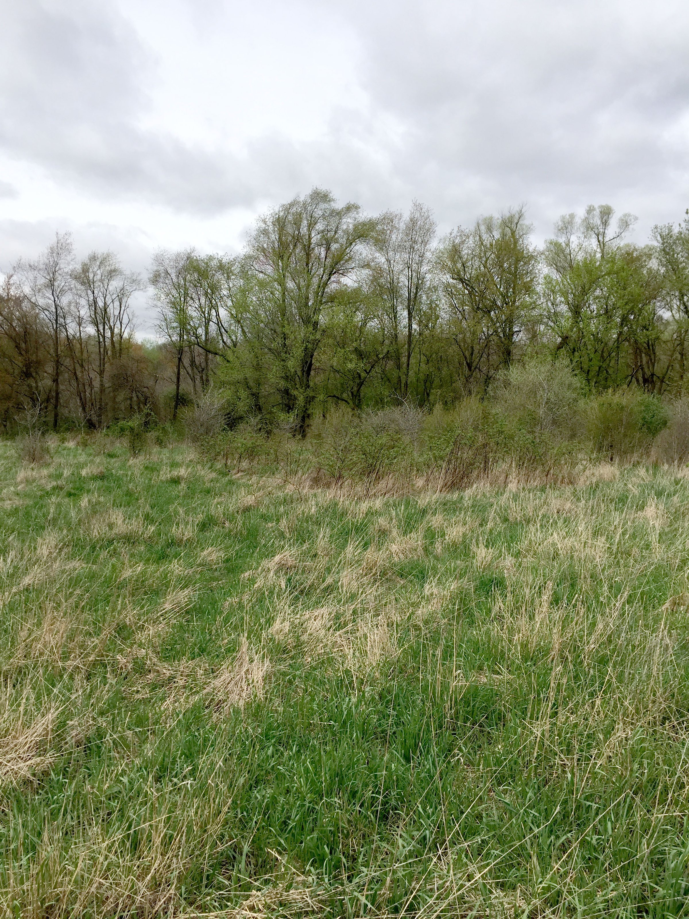 Property photo 55 - ONCE IN A LIFETIME OPPORTUNITY AUCTION - 183+/- ACRES IN 27 TRACTS IN BRANCH COUNTY, MICHIGAN