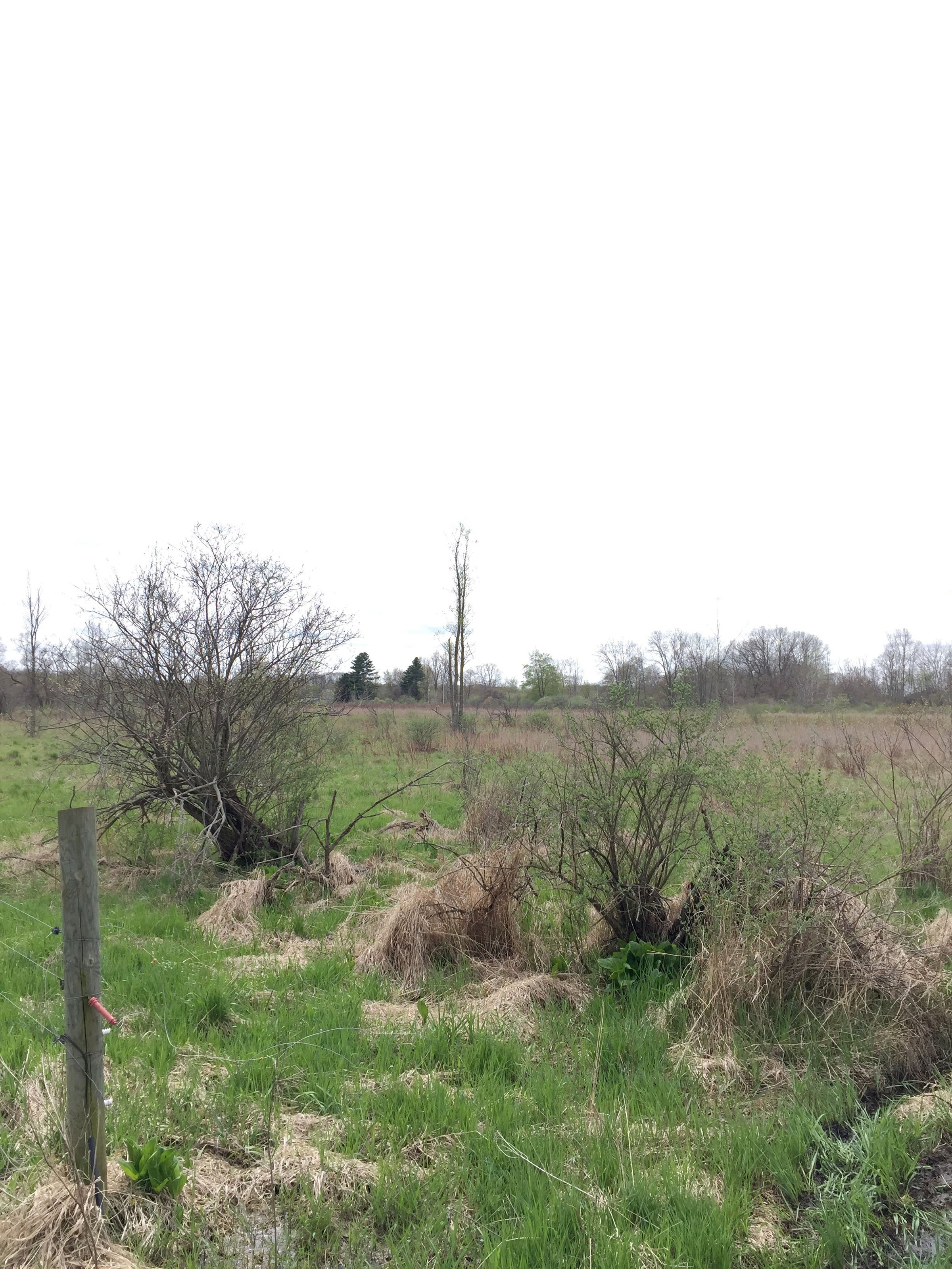 Property photo 87 - ONCE IN A LIFETIME OPPORTUNITY AUCTION - 183+/- ACRES IN 27 TRACTS IN BRANCH COUNTY, MICHIGAN